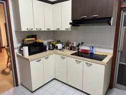 Parc Oasis (D22), Condominium #492848021